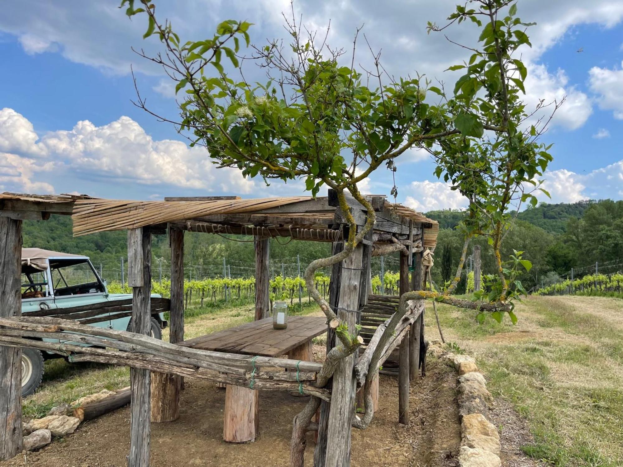 Fattoria Di Pancole