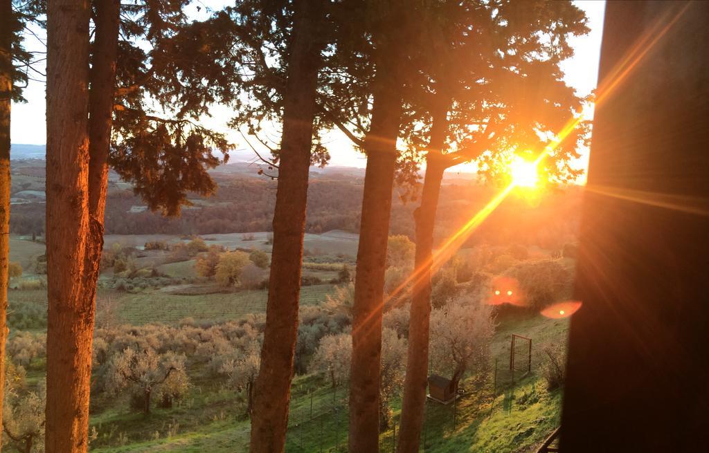 Fattoria Di Pancole Farm stay San Gimignano